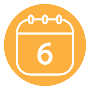 Day 6