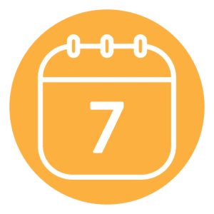 Day 7